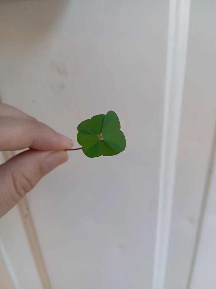 GIF uploaded by Pilar