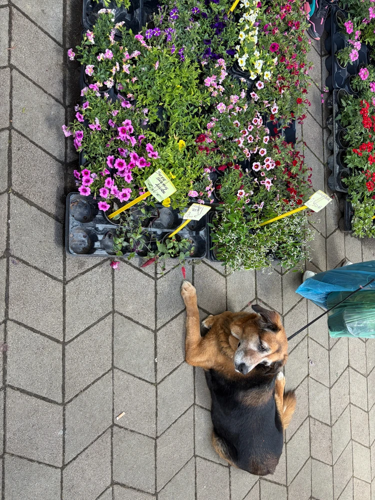 Image uploaded by L