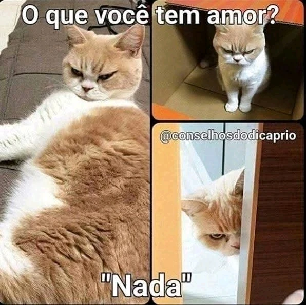 GIF enviado por Cinthia