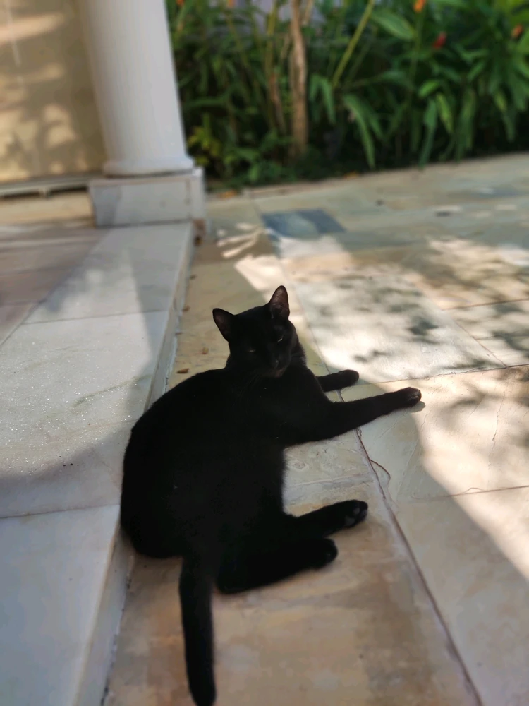 GIF uploaded by Milton