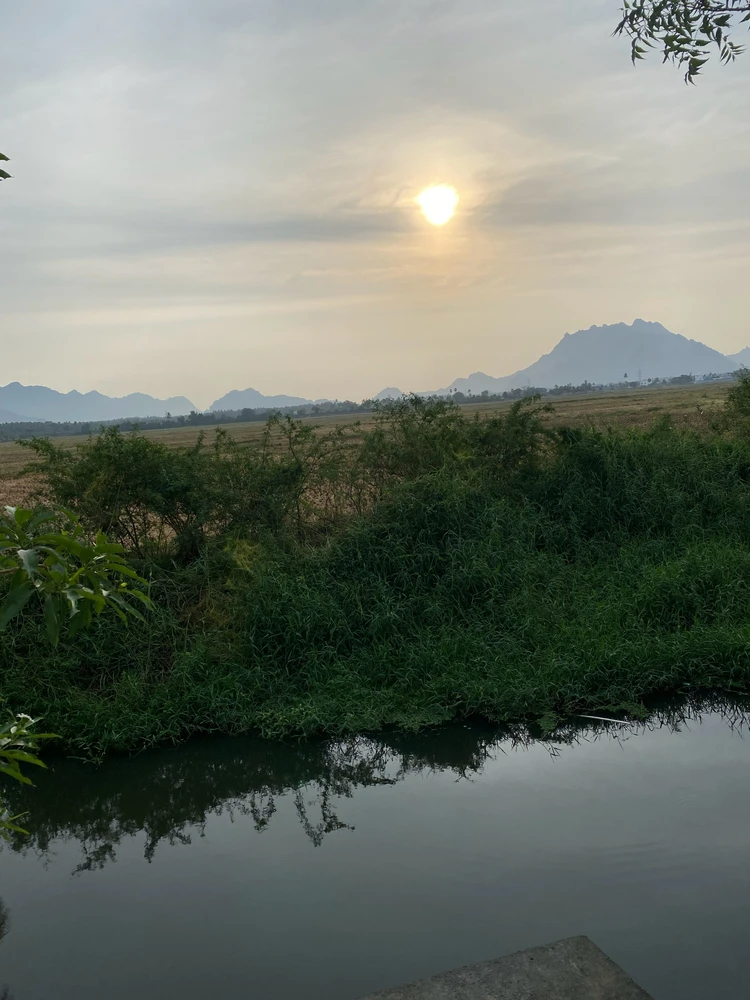 Image uploaded by Collin Timmos