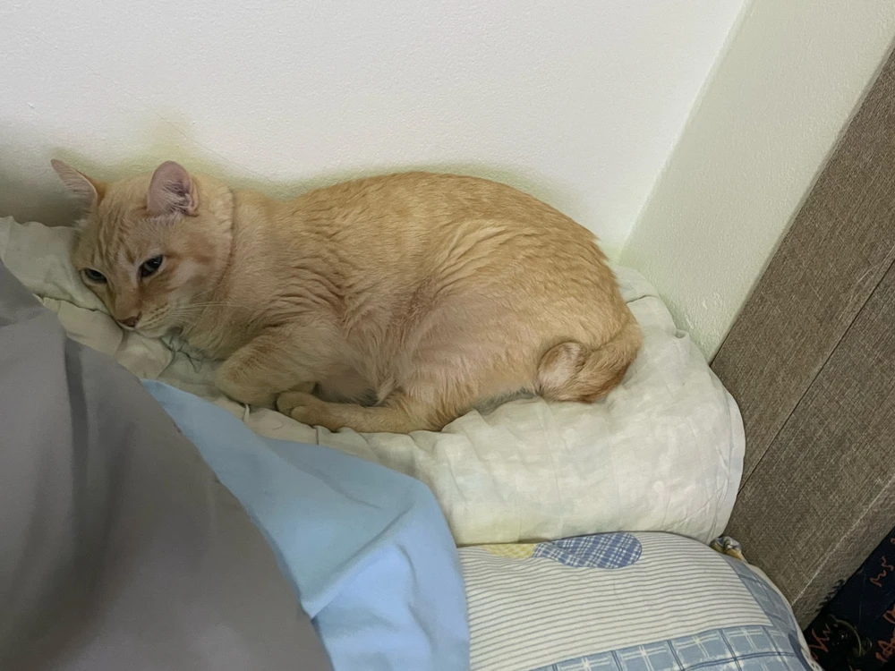GIF uploaded by Sar