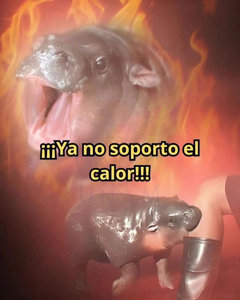 GIF subido por Jen