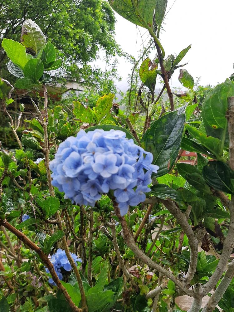 GIF uploaded by Mhirra