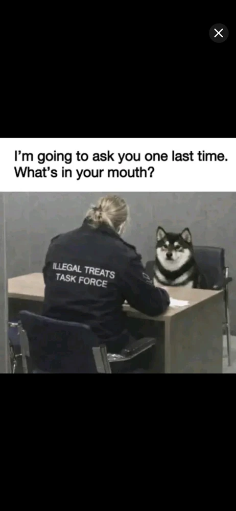 GIF uploaded by Brendan
