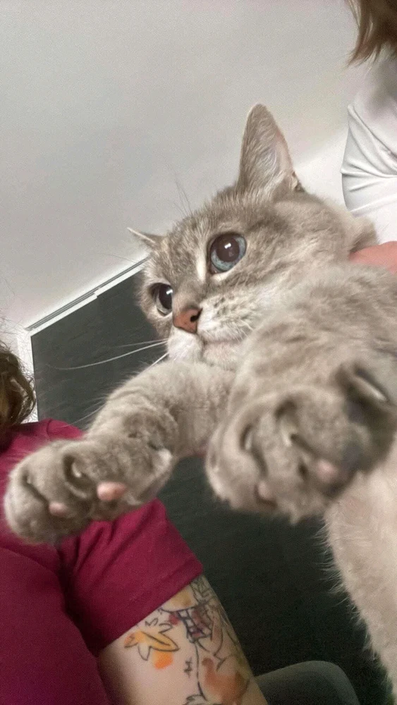 GIF ajouté par Patricia