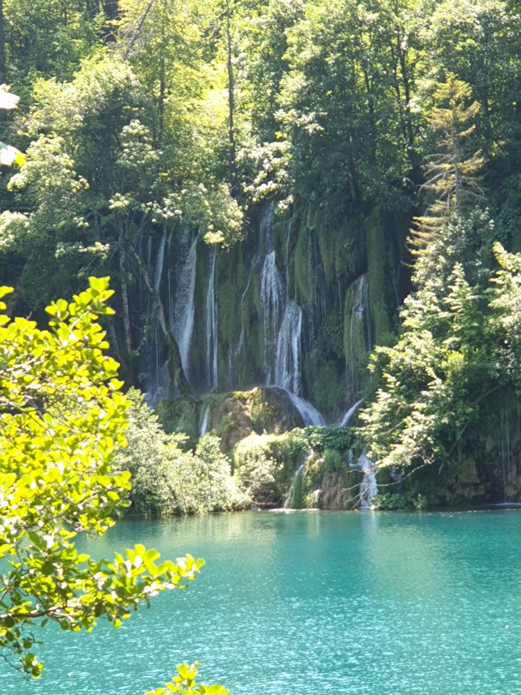 GIF hochgeladen von Davut