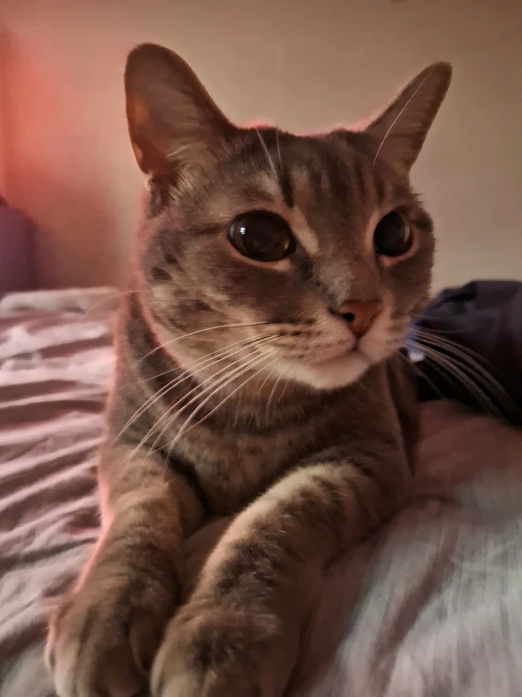 GIF uploaded by anqi