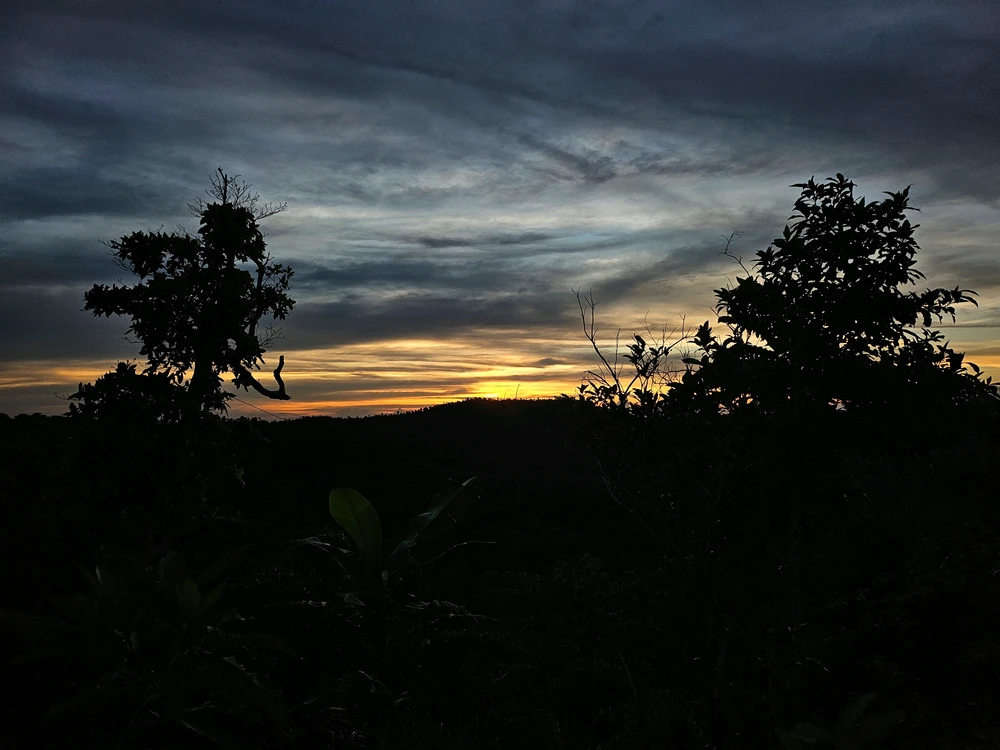 Image uploaded by Thres