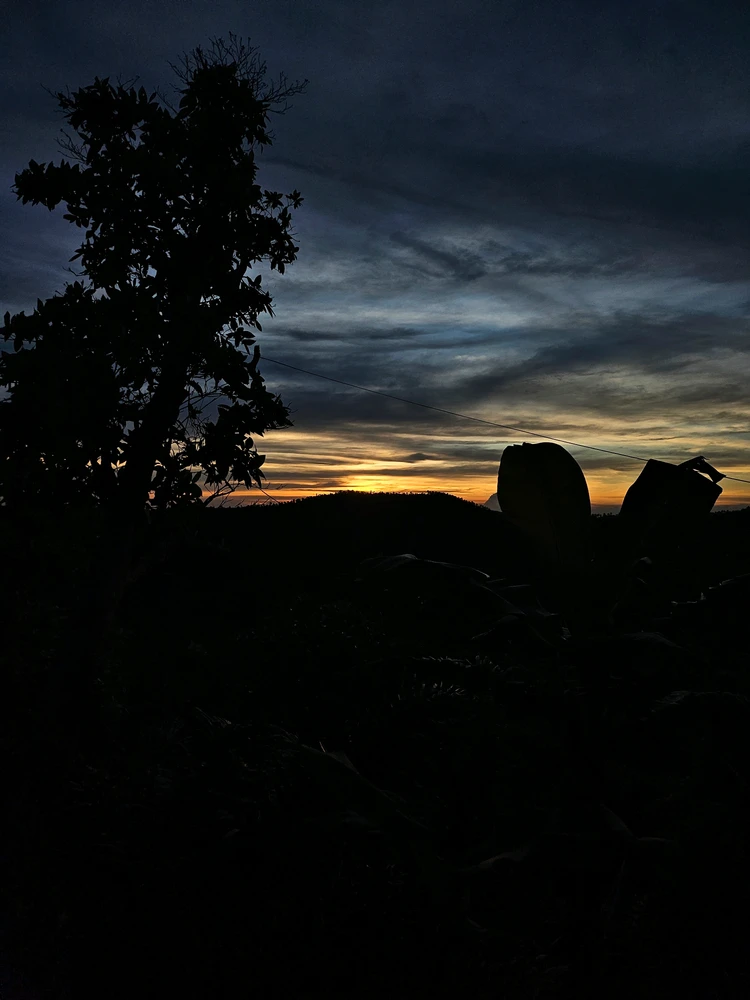 Image uploaded by Thres
