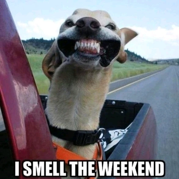 GIF uploaded by Ștefan