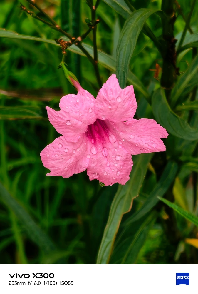 GIF uploaded by Gokul
