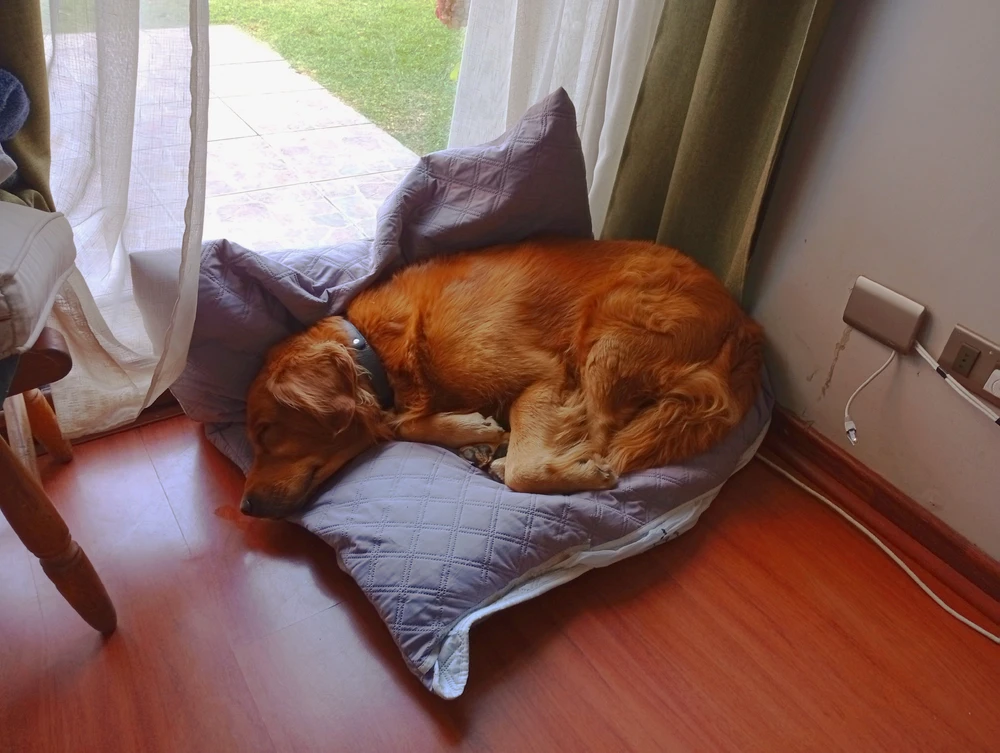 GIF i tukuna ake e Renato