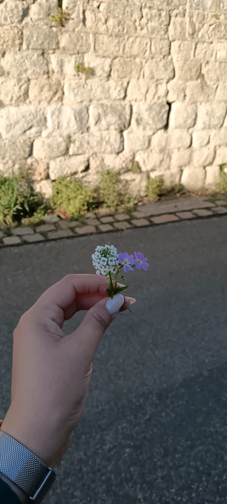 GIF ajouté par Saffiya