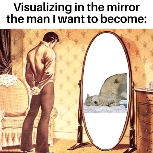 A man is looking in a mirror. The reflection shows a wolf. A text says "Visualising in the mirror the man I want to become"