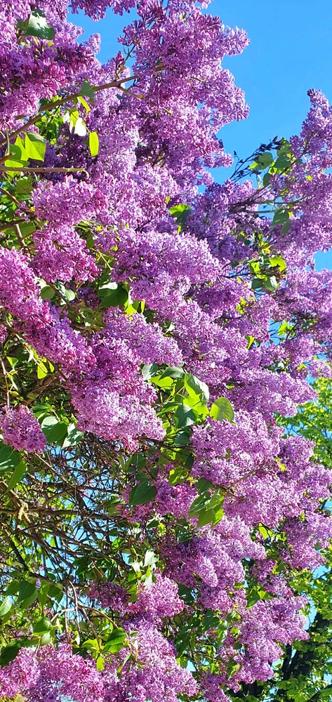 GIF uploaded by Anna