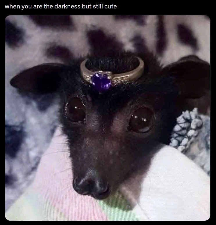 GIF uploaded by Alfredo