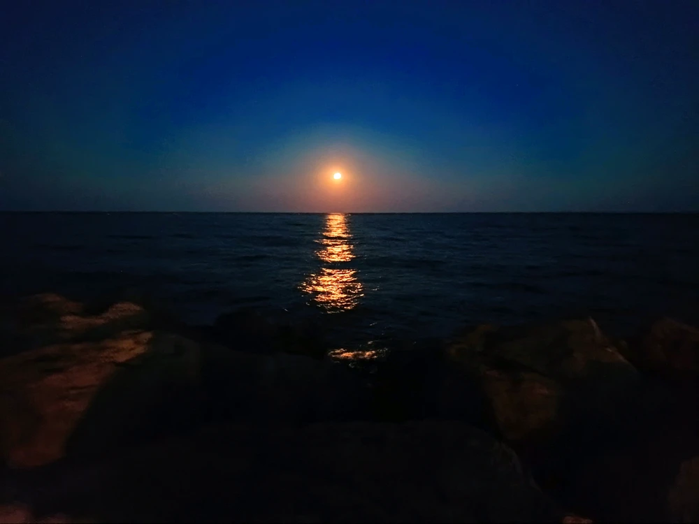 GIF uploaded by Христо