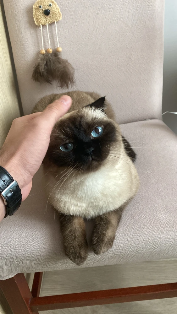 GIF uploaded by Oğuzhan