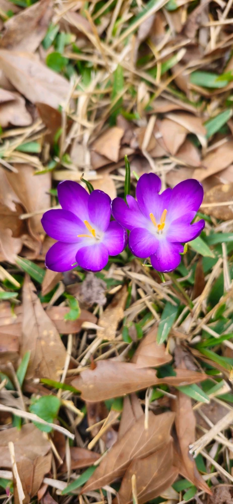 GIF uploaded by Kanu