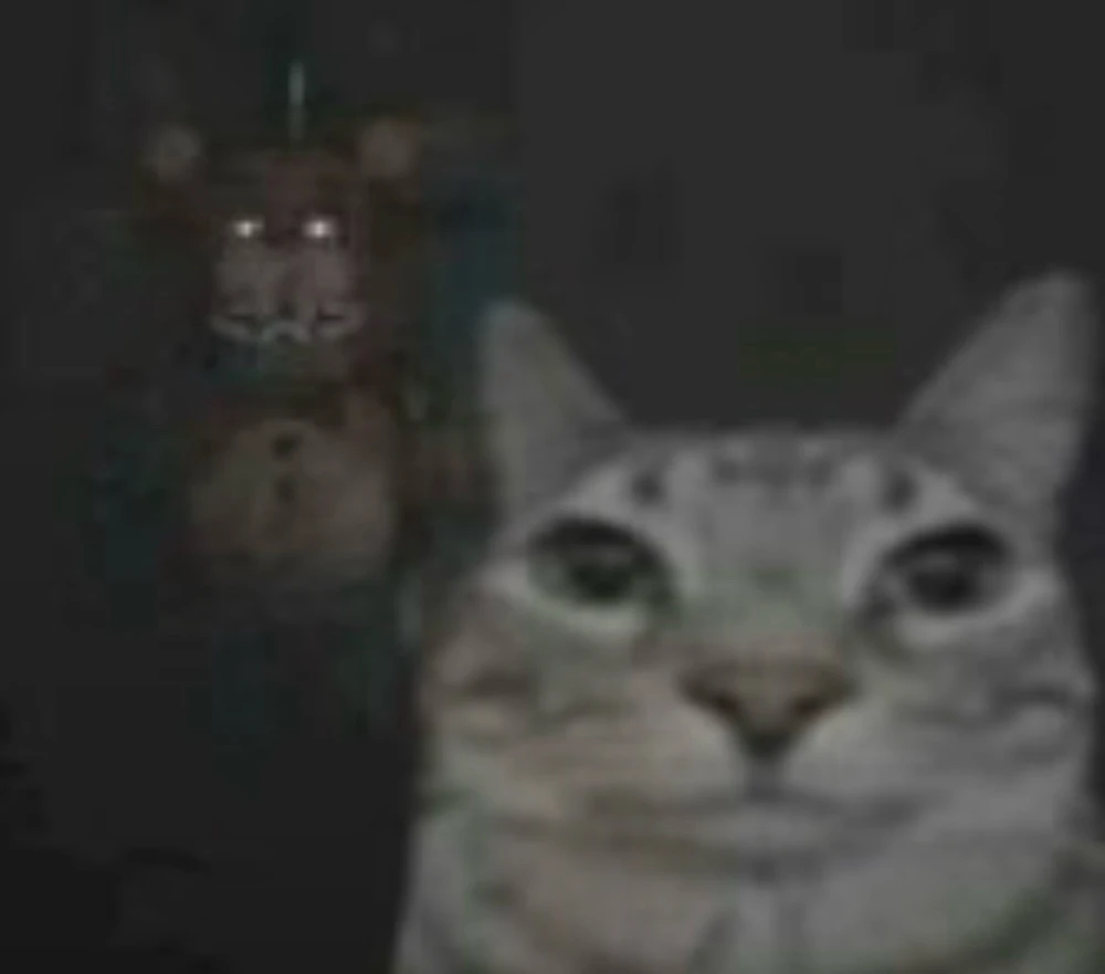 GIF uploaded by Matthew