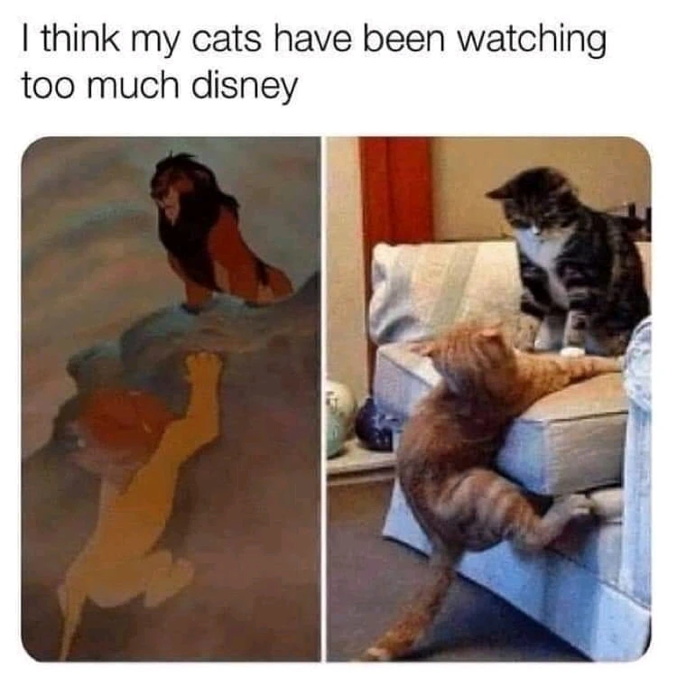 GIF uploaded by DezzieDee