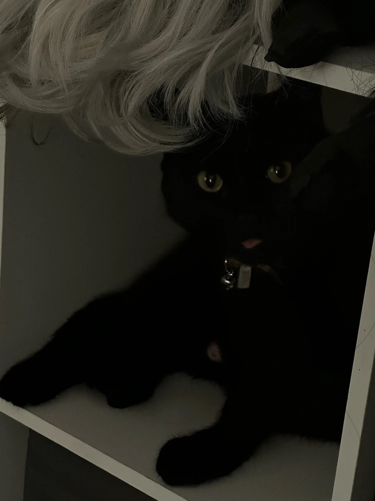 GIF uploaded by Taylor