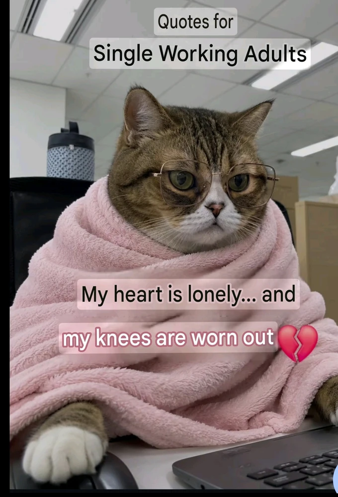 GIF uploaded by Kan(โ โงโ โฝโ โฆโ )ใซใณใคใคใผ