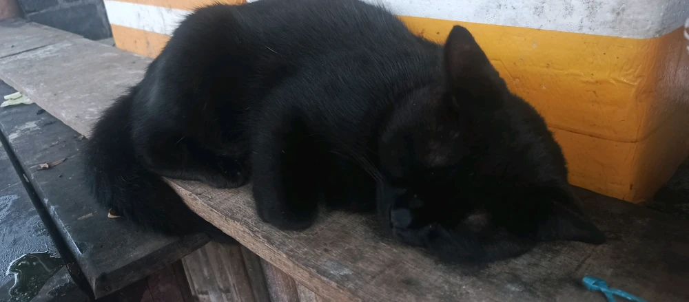 GIF uploaded by Jack