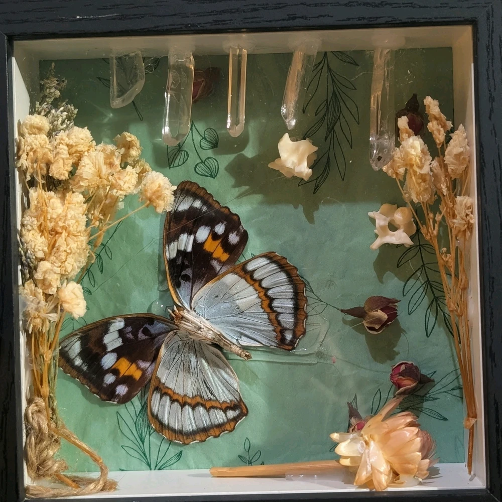 GIF uploaded by Roxx