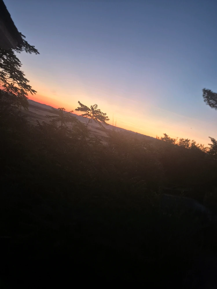 GIF subido por Ricardo