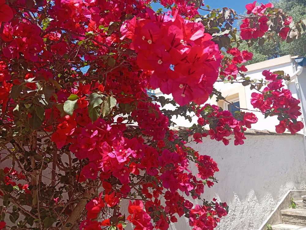 GIF ανέβηκε από Δημήτρης