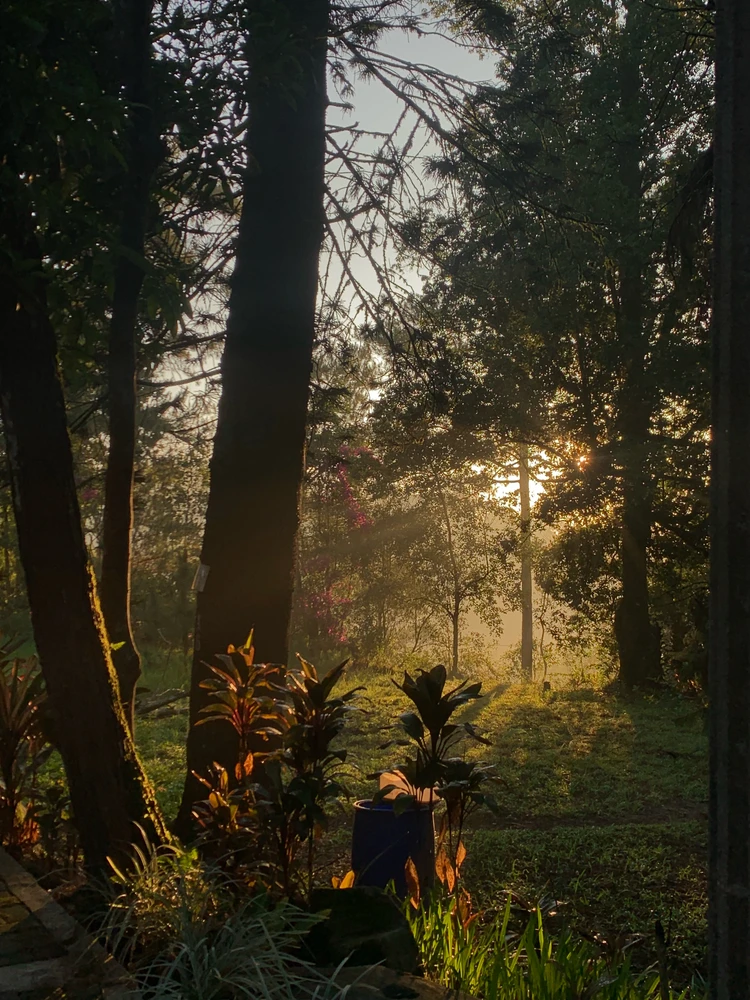 GIF uploaded by No Name
