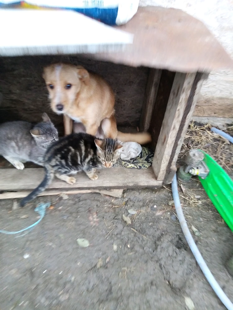 Image uploaded by Costi