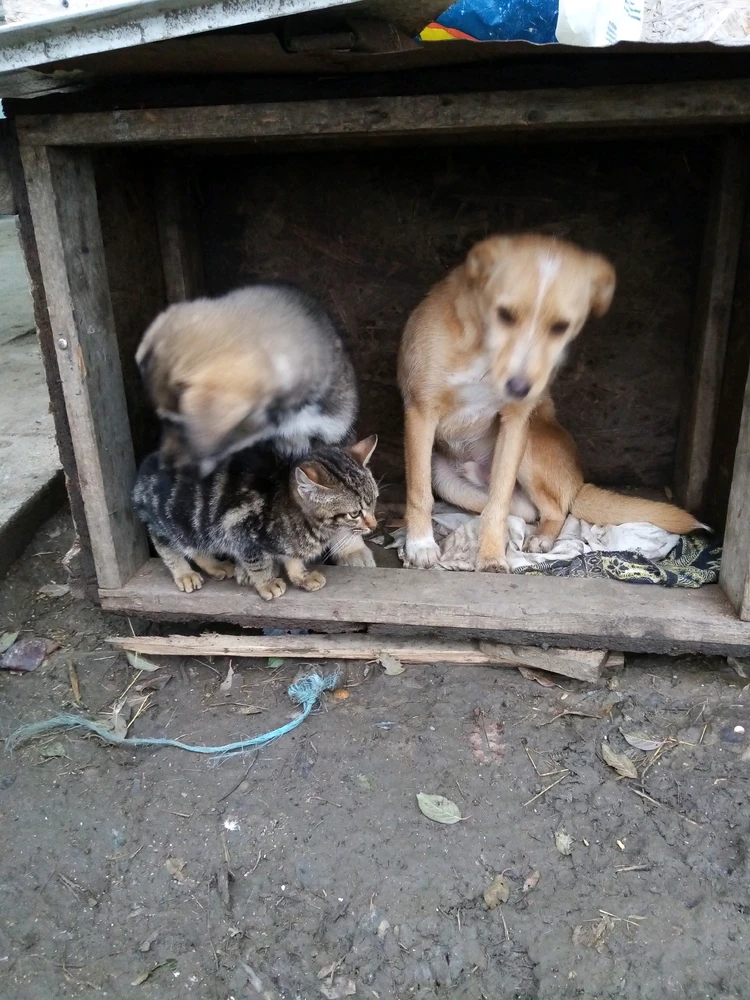 Image uploaded by Costi