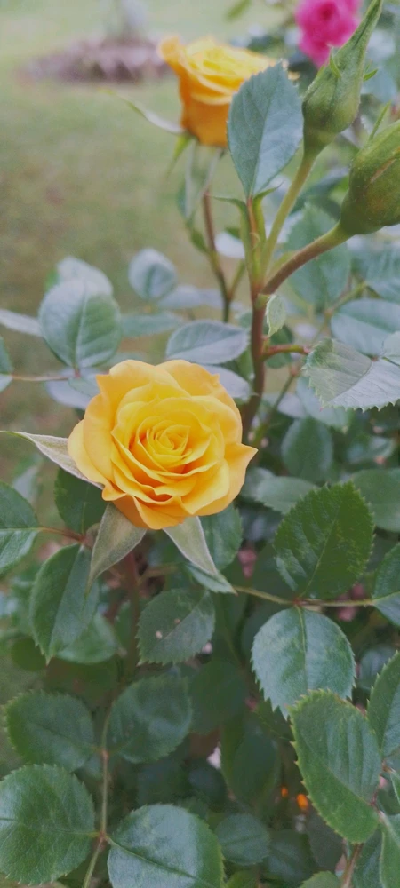 GIF uploaded by Kas