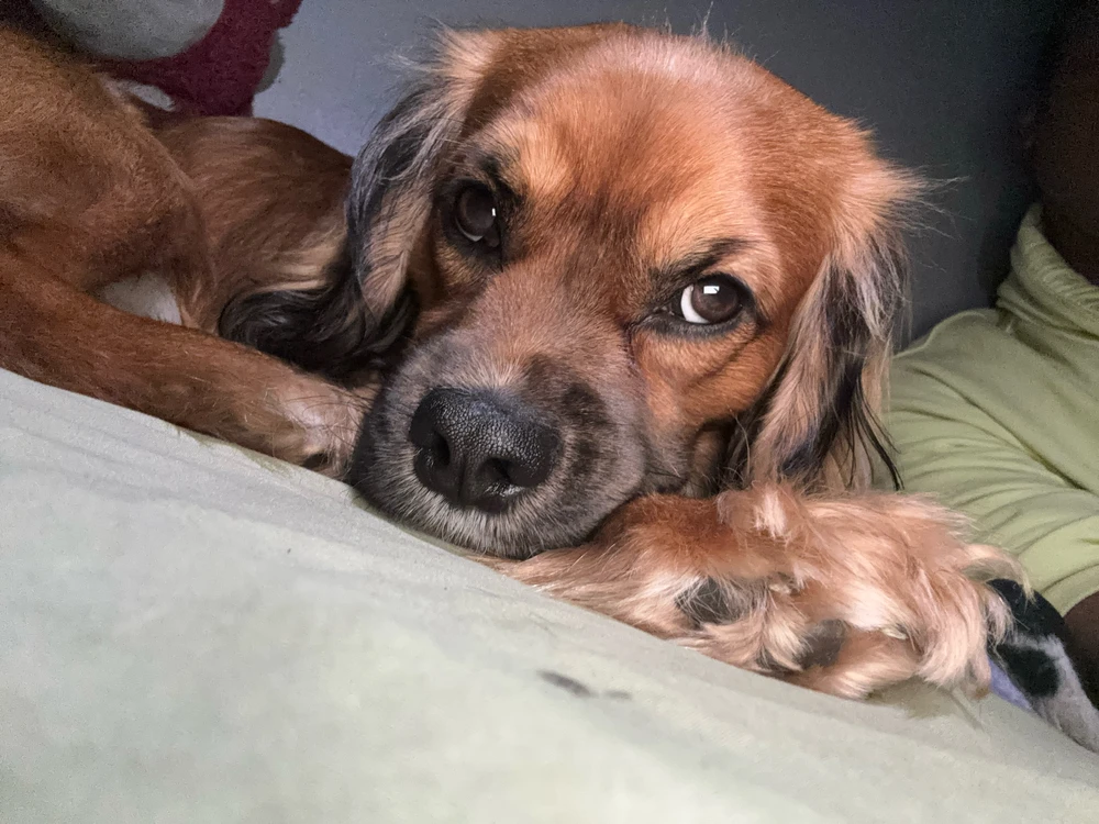 GIF uploaded by Nicki