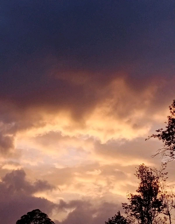 GIF uploaded by Yash