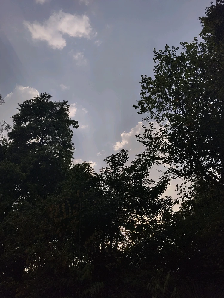 Image uploaded by shivam