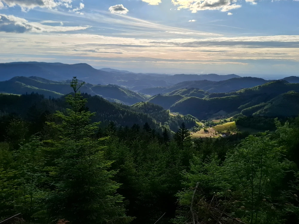 GIF hochgeladen von Zerkaa