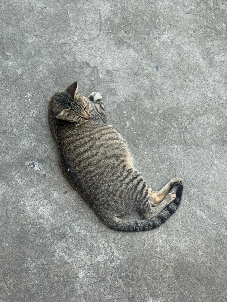 GIF uploaded by Bel