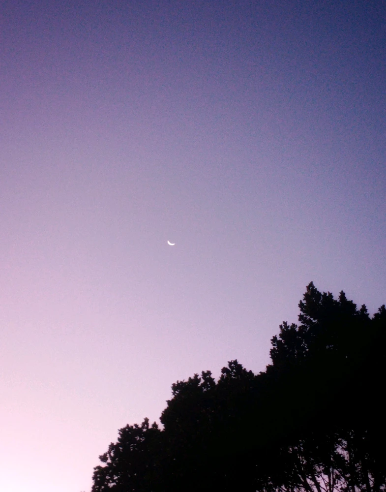 GIF uploaded by Yash