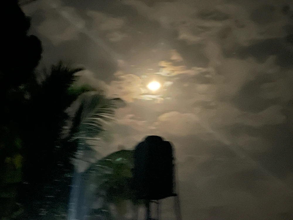 GIF uploaded by Ash Bodhi