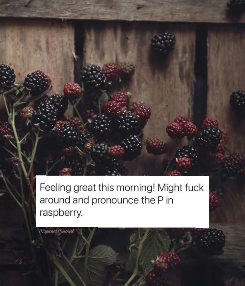 GIF uploaded by ℳ𝒾𝒹𝓃𝒾𝑔𝒽𝓉