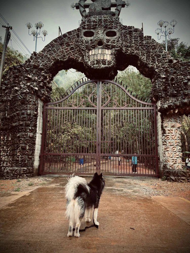 Image uploaded by Ruby