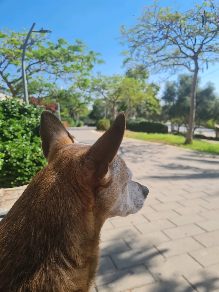 GIF uploaded by Ella