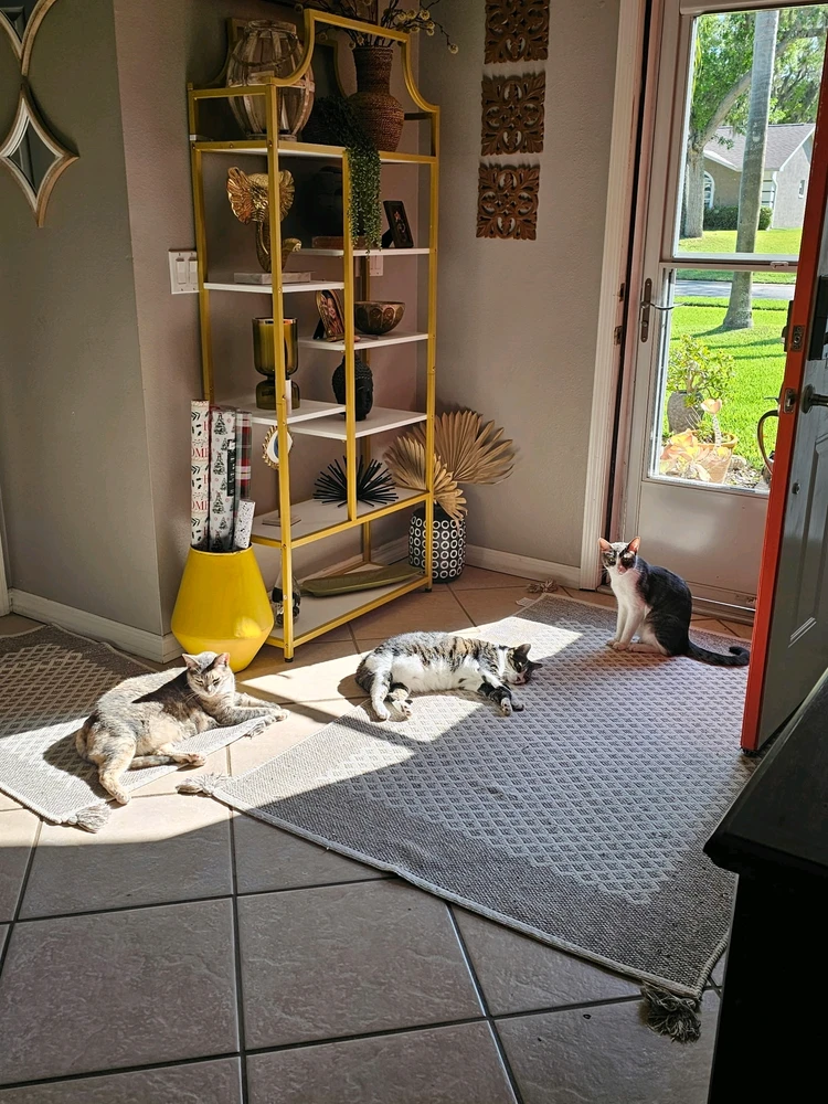 GIF uploaded by Chad