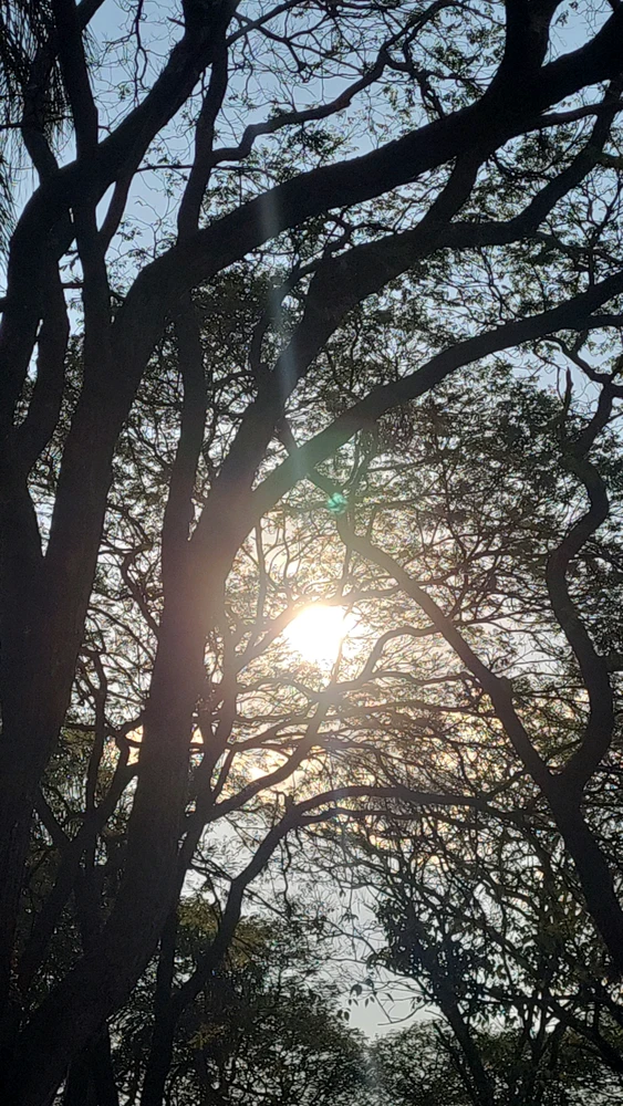 GIF uploaded by Sof