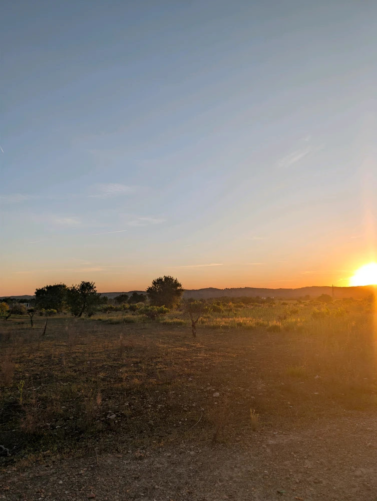 Image uploaded by Weed miller