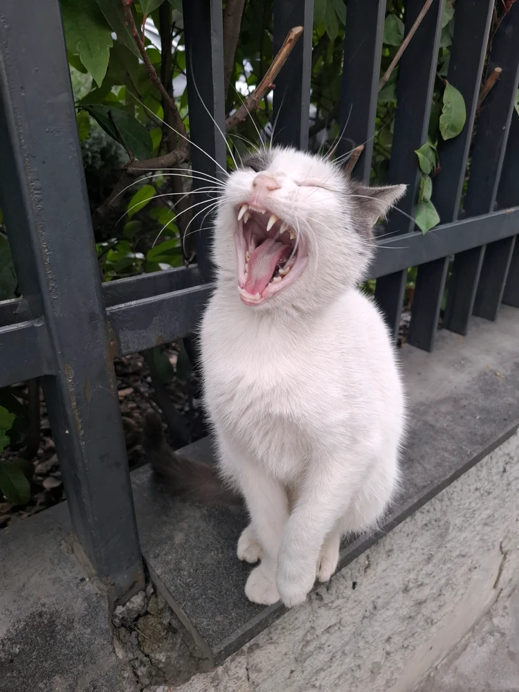 Aslıgül tarafından yüklenen GIF